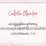 Callista Ollander Font Poster 6