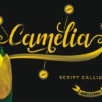 Camelia Font Poster 2