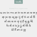 Camelia Font Poster 10
