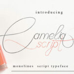 Camelia Script Font Poster 1