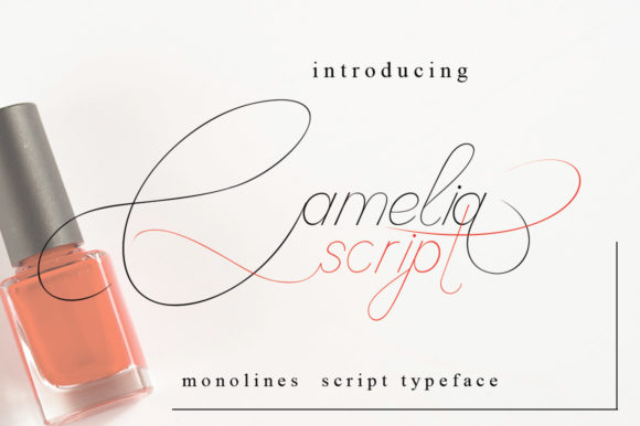 Camelia Script Font Poster 1