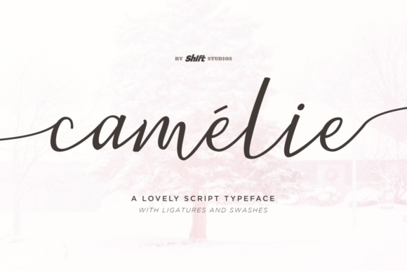 Camelie Font Poster 1