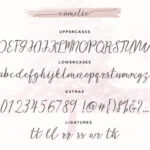 Camelie Font Poster 5