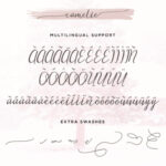 Camelie Font Poster 6