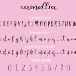 Camellia Font Poster 2