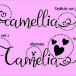 Camellia Font Poster 3