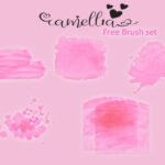 Camellia Font Poster 5