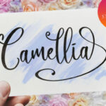 Camellia Script Font Poster 1