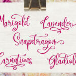 Camellia Script Font Poster 2