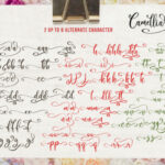 Camellia Script Font Poster 6