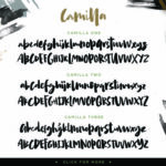 Camilla Font Poster 6