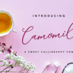 Camomile Script Font Poster 1