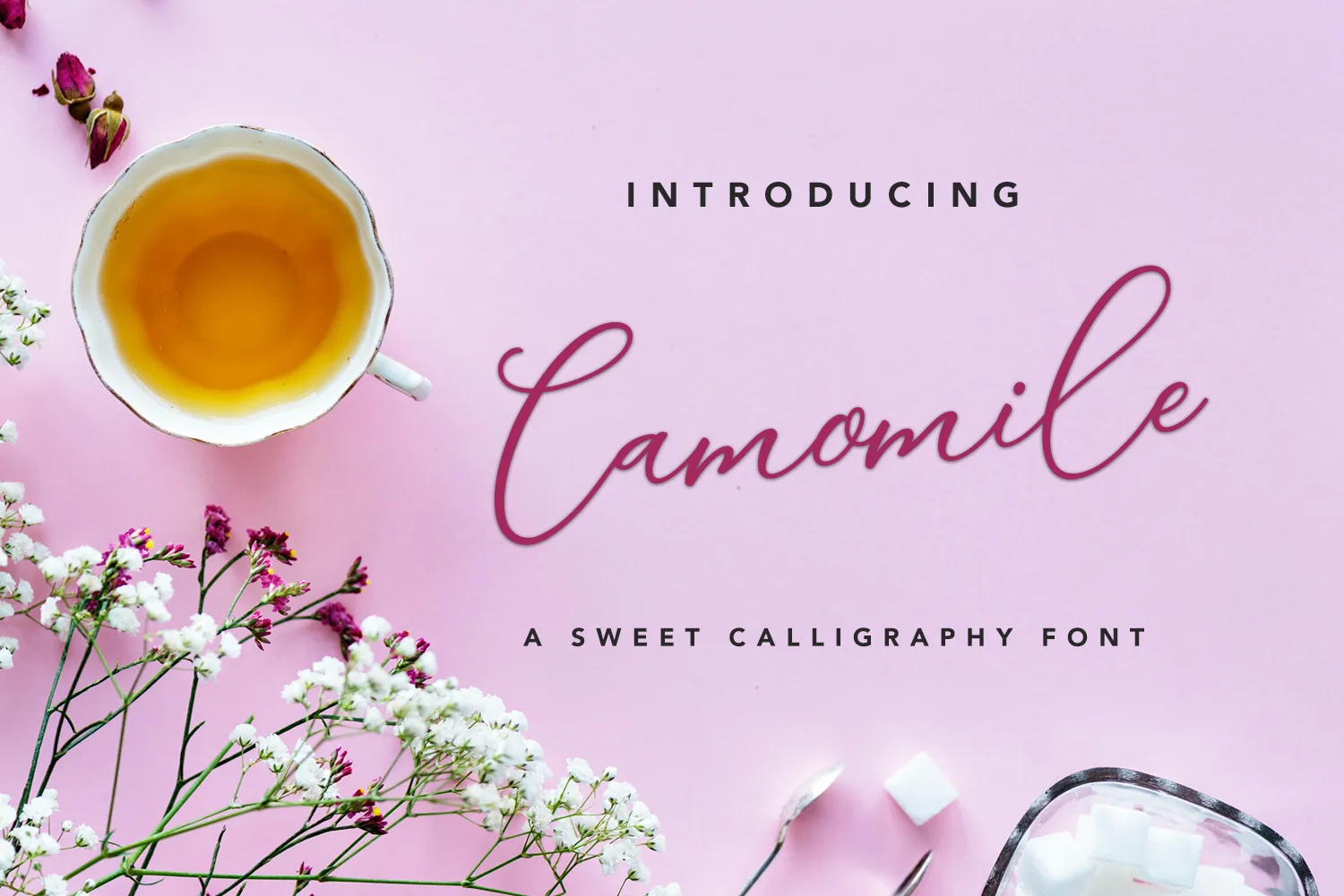 Camomile Script Font Poster 1