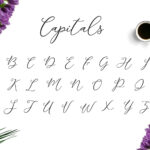 Camomile Script Font Poster 2