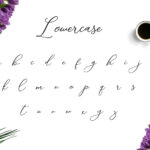 Camomile Script Font Poster 3