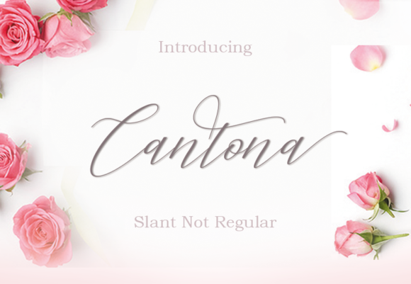 Cantona Font