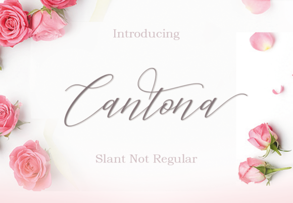 Cantona Font Cantona Font Poster 1
