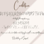 Carletone Font Poster 7