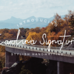 Carolina Signature Font Poster 8