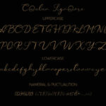 Catalan Signature Font Poster 10