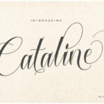 Cataline Script Font Poster 1