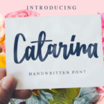 Catarina Font Poster 1