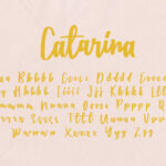 Catarina Font Poster 8