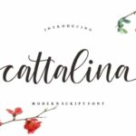 Cattalina Font Poster 1