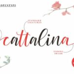 Cattalina Font Poster 5