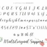 Cattalina Font Poster 6