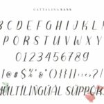 Cattalina Font Poster 7