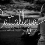 Cattalleya Font Poster 1