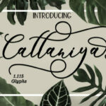 Cattaniya Font Poster 1