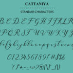 Cattaniya Font Poster 2