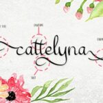 Cattelyna Font Poster 2