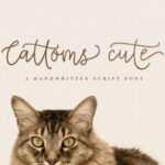 Cattoms Cute Font Poster 1