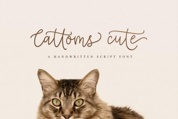 Cattoms Cute Font Poster 1