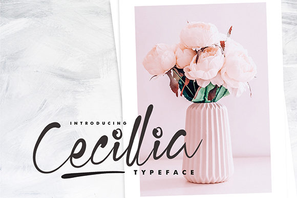 Cecilia Script Font Poster 1