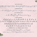 Cecilia Script Font Poster 7