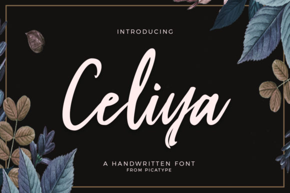 Celiya Script Font Poster 1