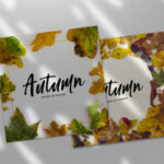 Celiya Script Font Poster 3