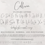 Cellina Font Poster 14