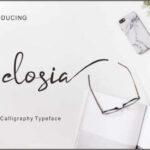 Celosia Font Poster 1