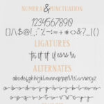 Cendolita Duo Font Poster 11