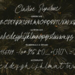Chairine Font Poster 10