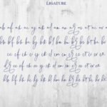 Chalisha Font Poster 11