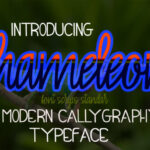 Chameleon Font Poster 1