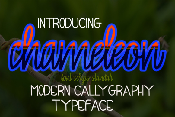 Chameleon Font