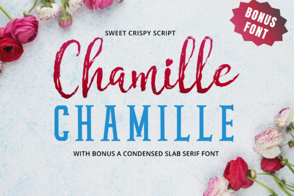 Chamille Script Font Poster 1