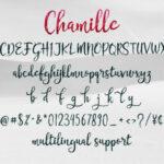 Chamille Script Font Poster 8